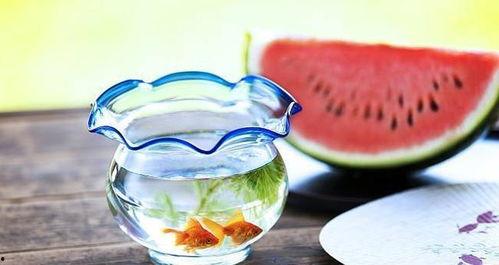 黑暗吃瓜料理线路