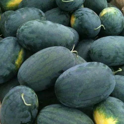 武汉摄影吃瓜事件