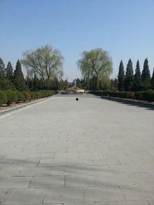 文水交城吃瓜,夏日吃瓜盛宴，畅享清凉时光