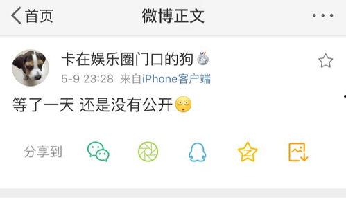 全网吃瓜爆料号,揭秘娱乐圈幕后真相