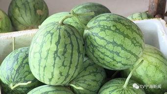 带你吃瓜之彩虹