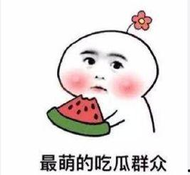 吃瓜群众没瓜,吃瓜群众为何无瓜可吃？