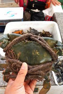 东海渔民吃瓜,瓜果飘香话渔村